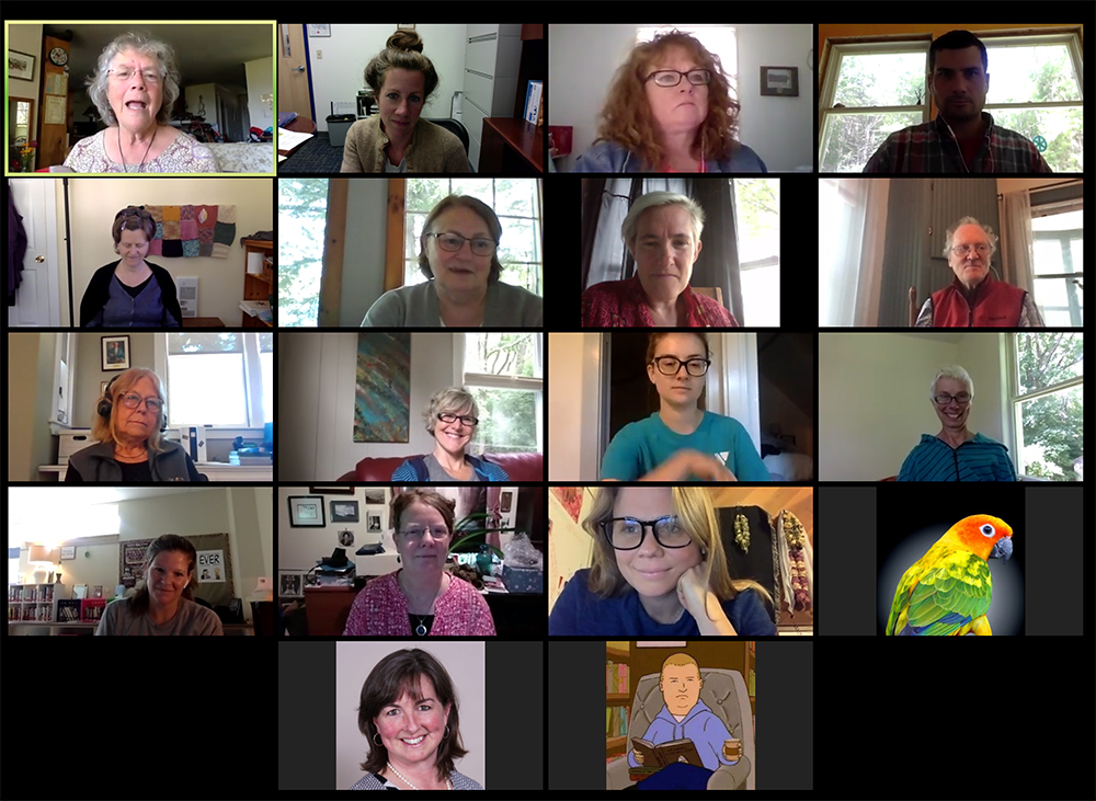 Screenshot of Zoom Gallery showing participants faces